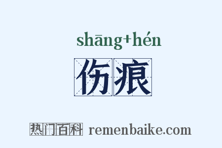 伤痕是什么意思的图片